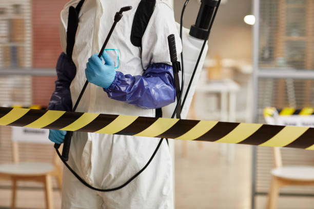 Professional Biohazard technician working in Webster, FL
